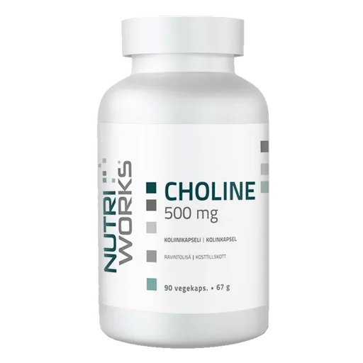 NutriWorks Choline 500mg - 90 kapslí