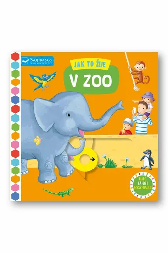 Jak to žije V zoo  Rebecca Finn - Rebecca Finn