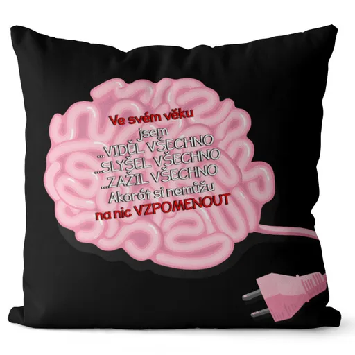 Polštář Ve svém věku (Velikost: 55 x 55 cm)