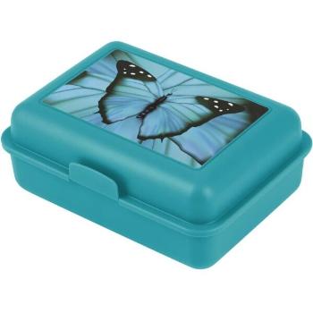 BAAGL BUTTERFLY Box na svačinu, tyrkysová, velikost