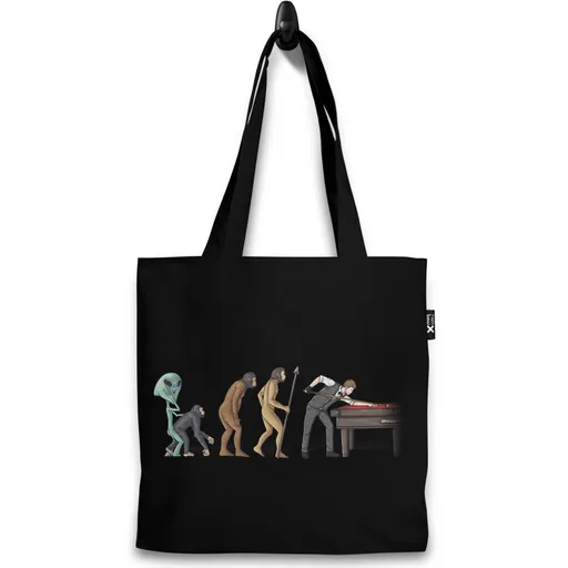 Taška Evoluce kulečníku