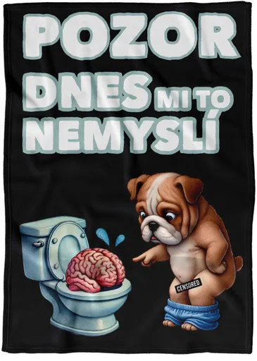 Deka Dnes mi to nemyslí (Podšití beránkem: NE)