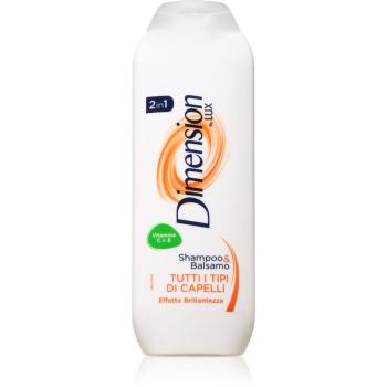 Dimension by Lux 2in1 šampon a kondicionér 2 v 1 pro všechny typy vlasů 250 ml