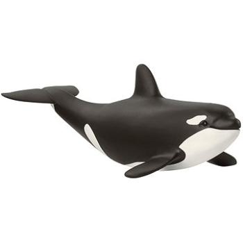 Schleich Mládě orca 14836 (4059433013947)