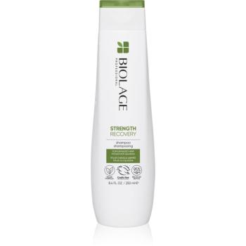 Biolage Strength Recovery šampon pro poškozené vlasy 250 ml