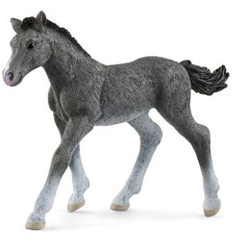 Schleich Zvířátko - hříbě trakénské 13944 (4059433461106)