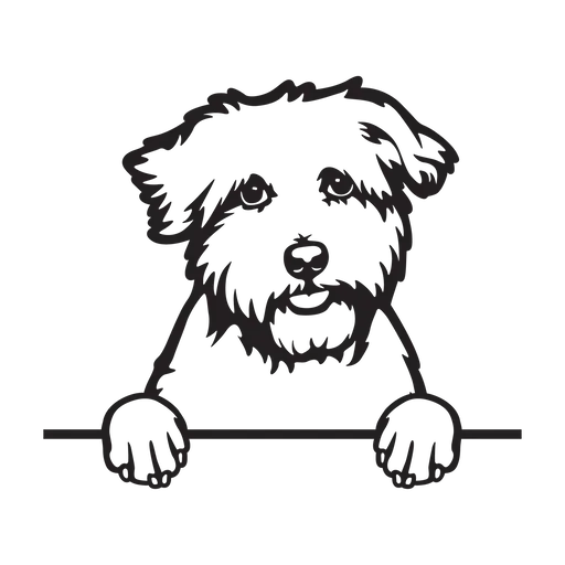 Vsepropejska Coton de Tulear 1 dřevěná dekorace na zeď Rozměr (cm): 38 x 33