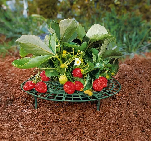 Die moderne Hausfrau Mřížka na jahody, 5 ks