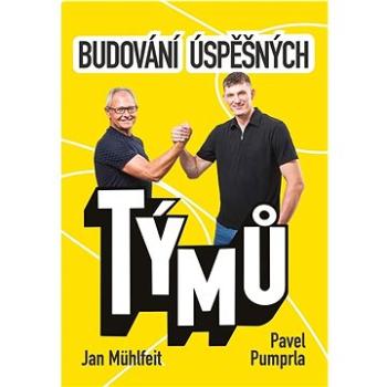 Budování úspěšných týmů (978-80-7261-597-1)