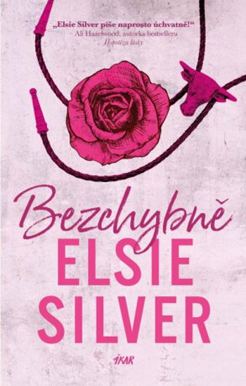 Bezchybně - Elsie Silver