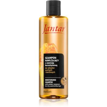 Farmona Jantar Amber Essence hydratační šampon pro suché vlasy 300 ml