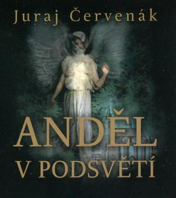 Anděl v podsvětí (2 MP3-CD) - audiokniha