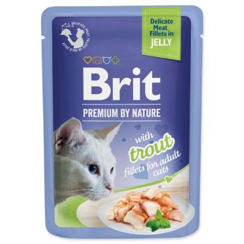 Kapsička Brit Premium by Nature Delicate Fillets in Jelly pstruh 85g