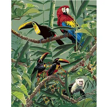 Zuty - Malování podle čísel – PAPOUŠEK ARA, TUKAN A OPICE V PRALESE (JAMES HAUTMAN), 80x100 cm, vypn (HRAmmb04995nad)