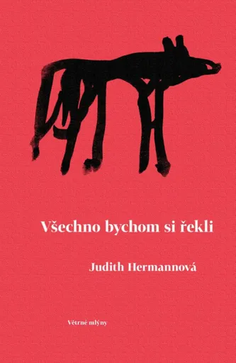 Všechno bychom si řekli - Judith Hermannová