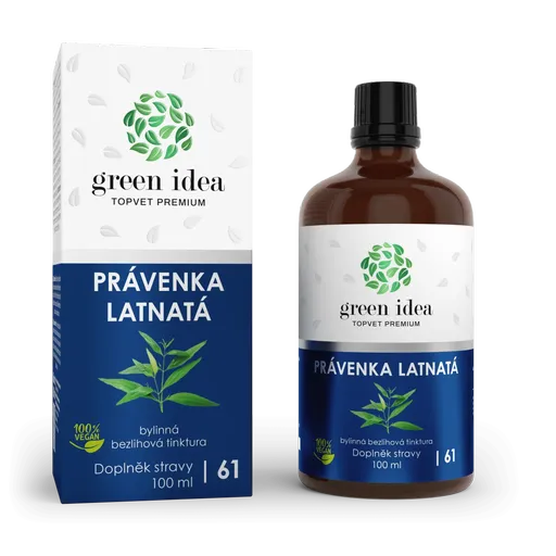 Právenka latnatá - bezlihová tinktura 100 ml - Green idea