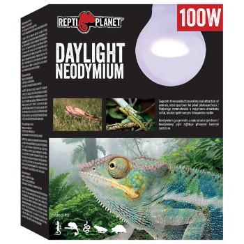 Repti Planet žárovka Daylight Neodymium 100W