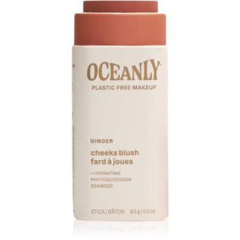 Attitude Oceanly Plastic Free Makeup tuhá krémová tvářenka pro suchou až citlivou pleť odstín Ginger 8.5 g