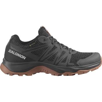 Salomon WARRA GTX W Dámská turistická obuv, hnědá, velikost 41 1/3