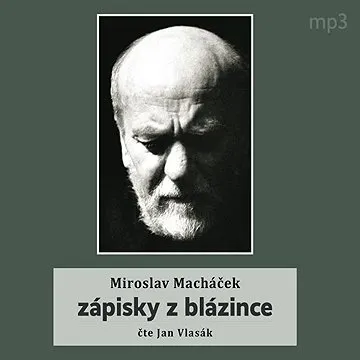 Zápisky z blázince ()