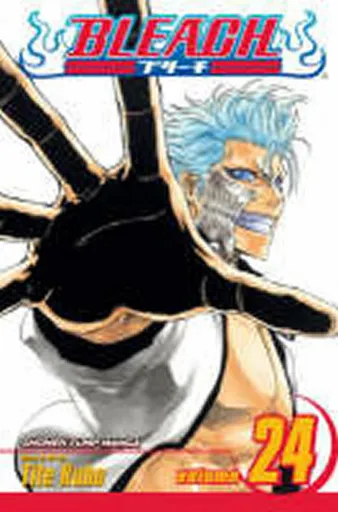 Bleach, Vol. 24 - Tite Kubo