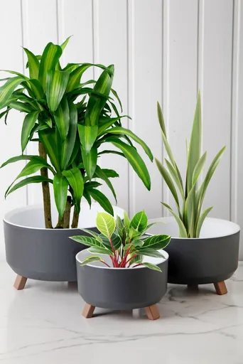 Vase Set TRPTSKS-1-3