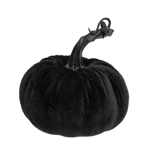 Chaks Černá sametová dýně 10 x 7-11 cm