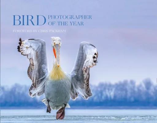 Bird Photographer of the Year - Bird Photographer of the Year