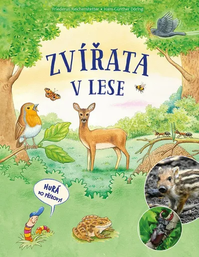 Zvířata v lese - Friederun Reichenstetterová