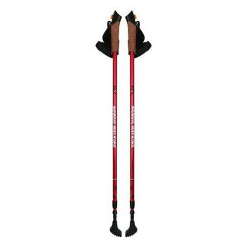 NILS Extreme NW 607 nordic walking palice EXTREME