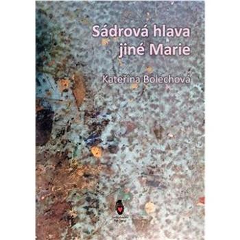 Sádrová hlava jiné Marie (978-80-87563-82-3)