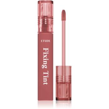 ETUDE Fixing Tint dlouhotrvající rtěnka s matným efektem odstín #05 Midnight Mauve 4 g