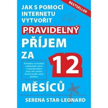 Jak s pomocí internetu vytvořit pravidelný příjem za 12 měsíců: Bestseller (978-80-87383-27-8)