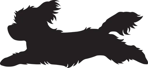 Vsepropejska Maltézský psík 3 dřevěná dekorace na zeď Rozměr (cm): 18 x 38