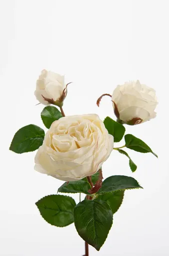 Umělé květiny home & lifestyle