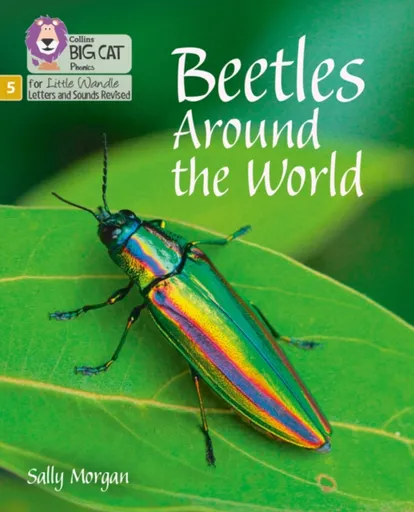 Beetles Around the World - Sally Morganová