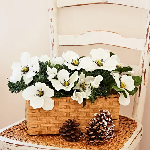 3 náplně do truhlíku Čemeřice