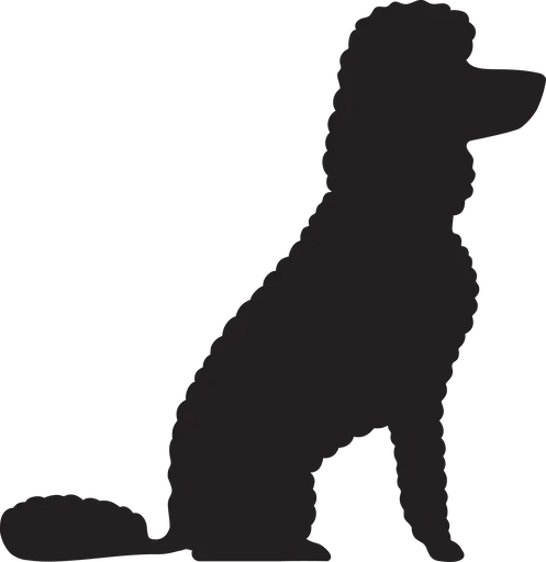 Vsepropejska Pudl 4 dřevěná dekorace na zeď Rozměr (cm): 38 x 37