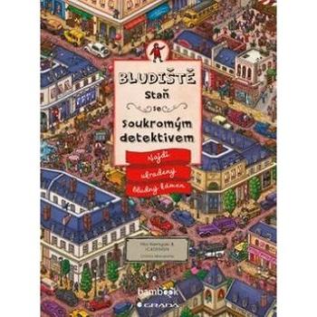 Bludiště Staň se soukromým detektivem: Najdi ukradený bludný kámen (978-80-247-5504-5)