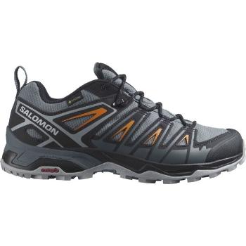 Salomon X ULTRA PIONEER GTX Pánská turistická obuv, šedá, velikost 44 2/3