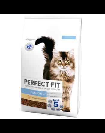 PERFECT FIT Junior