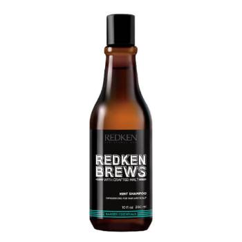 Redken Povzbuzující mentolový šampon na vlasy pro muže Brews (Mint Shampoo) 300 ml