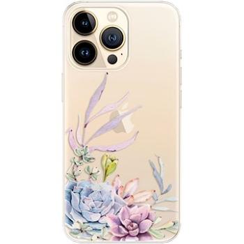 iSaprio Succulent 01 pro iPhone 13 Pro Max (succ01-TPU3-i13pM)