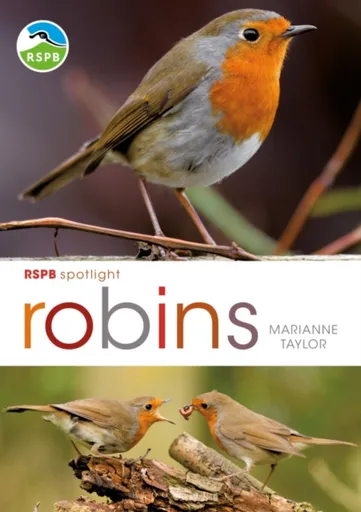 RSPB Spotlight: Robins - Taylor Marianne