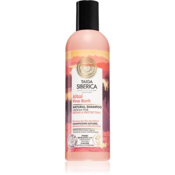 Natura Siberica Taiga Siberica Altai Pine Bark obnovující šampon pro poškozené vlasy 270 ml