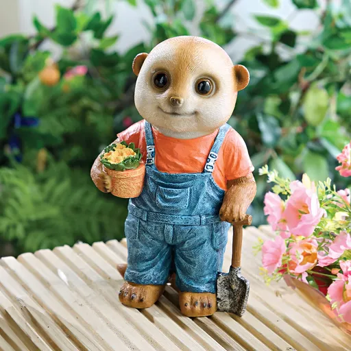 Surikata zahradník Lutz