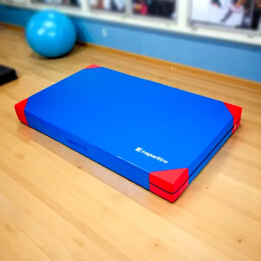 Gymnastická žíněnka inSPORTline Agskal T25 200x120x20 cm modrá