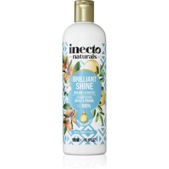 Inecto Argan šampon pro lesk a hebkost vlasů 500 ml