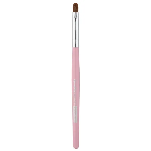 Diva & Nice Cosmetics Accessories Brush štětec na rty MAX 491/5 1 ks