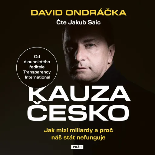 Kauza Česko - David Ondráčka - audiokniha